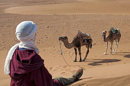 2-Day Zagora Desert Trip from Marrakech