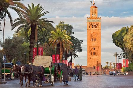 Historical and Cultural Private Tour of Marrakech 