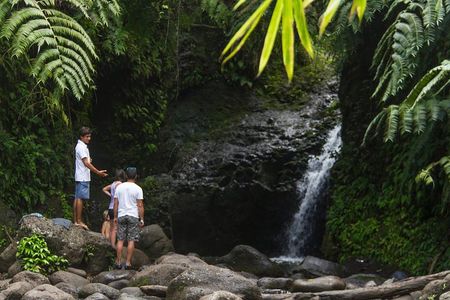 Oahu friendly hiking experience 