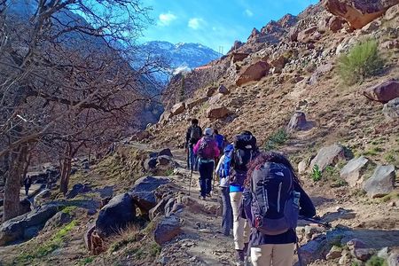 Atlas Mountains Day Trip from Marrakech with Berber Village Hike
