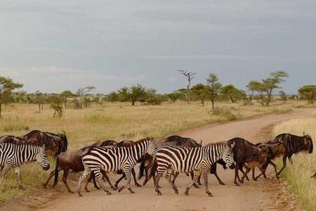 2 Days Africa Safari