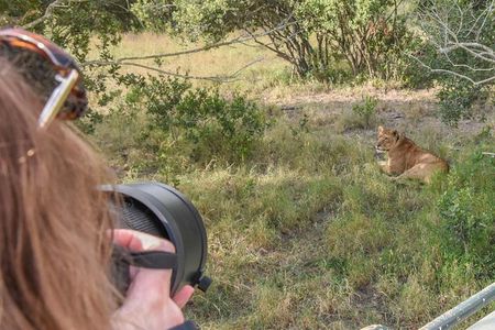 Ol Pejeta, Sweet Waters Chimpanzee Sanctuary and lion tracking safari