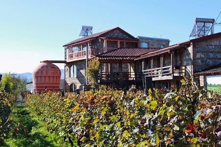 Kakheti Wine Tour and Sightseeing 