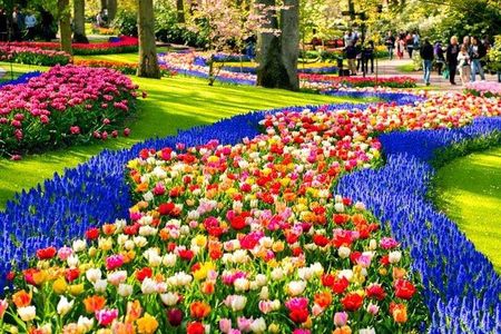 Keukenhof & FlowerFarm Tour From Amsterdam Skip-The-Line tickets