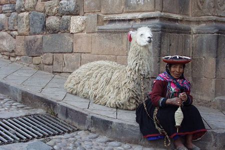 City Tour of Cusco: Private Half Day
