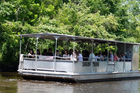 Manchac Swamp Boat Tour with Shuttle Service from New Orleans