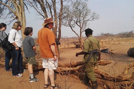 Game drive/White Rhino tracking