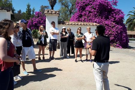 Half-Day Small-Group Santa Rita Vineyard Tour