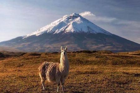 Discover Cotopaxi: All Inclusive Hiking Tour