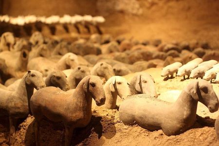 Private Xi'an Tour: Terracotta Warriors, Hanyangling Museum, Cave Homes