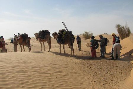 From Tozeur: 3-Day Desert Trip