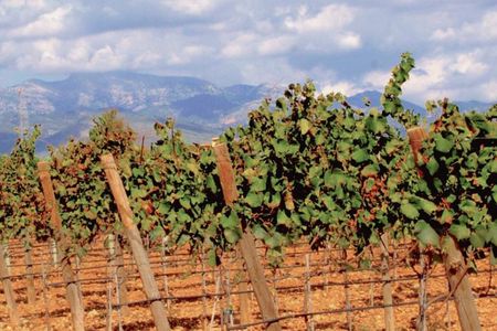 Sa Clasta Wine Tours, Mallorca