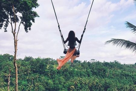 Private Bali swing, waterfall instagramable tour