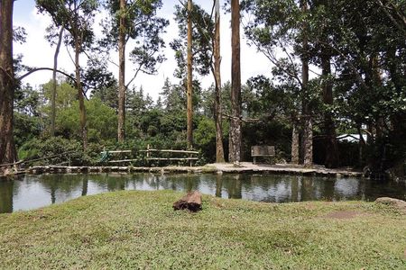 Antón Valley Tour from Panama City Nature,Waters