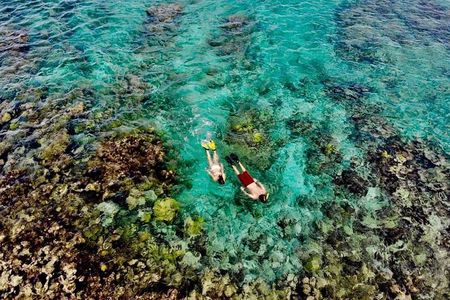 Captain Bob Speed Boat, Snorkeling, Beach Tour & Lunch St Maarten