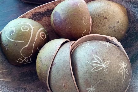 Craft Your Own wooden Bowl : in 1.5 hours from a calabash fruit!