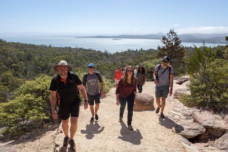 Launceston to Hobart via Wineglass Bay - Active one-way Day Tour