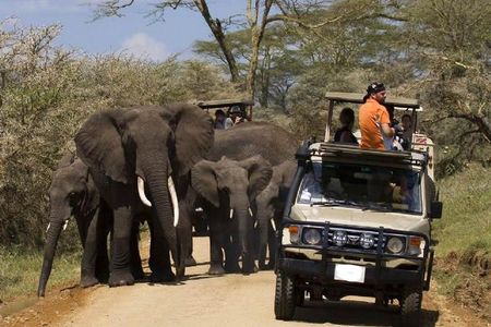 5 Day Best Camping Safari in Tanzania Parks