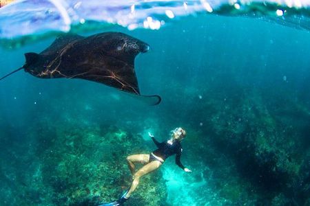 Nusa Penida Snorkeling & Kelingking Tour