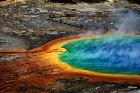 Private Upper Loop Tour of Yellowstone National Park
