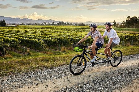 Self-Guided Biking Wine Tour (full day) in the Marlborough Region.