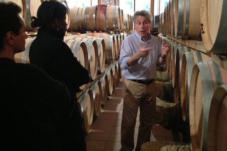 Small-Group Half-Day Languedoc Wine and Olive Tour from Montpellier