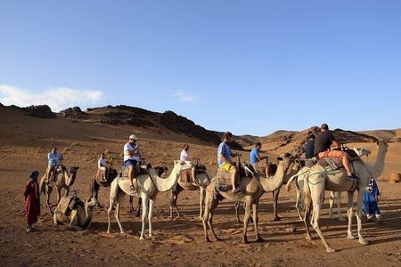 2-Day Zagora Tour from Marrakech Including the Atlas Mountains, Camel Trek and Desert Camp