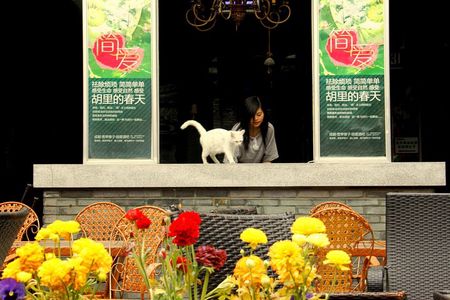 Half Day Private Chengdu City Highlights Tour By Metro