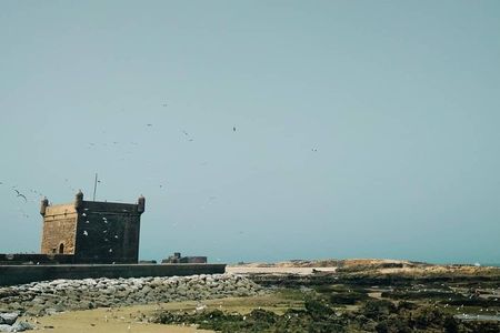 Day trip to Essaouira from Marrakech 