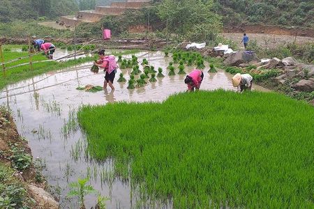 From Sapa: 2 Day Tour Through Villages and Countryside
