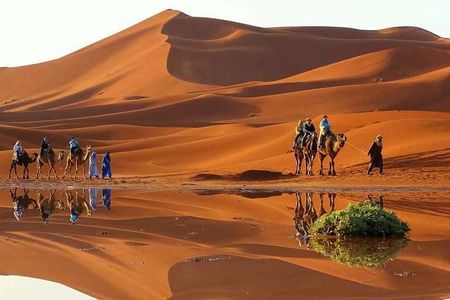 Fes to Marrakech 2 days Tour