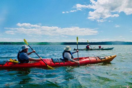 Half-Day Orleans Island Small-Group Sea Kayaking Tour