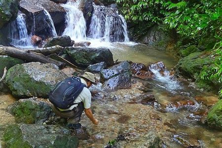 Azul Meambar National Park Day Tour From San Pedro Sula