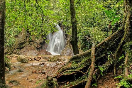 Azul Meambar National Park Day Tour From San Pedro Sula