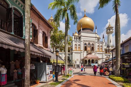 Half Day or Full Day Private Custom Walking Tour of Singapore
