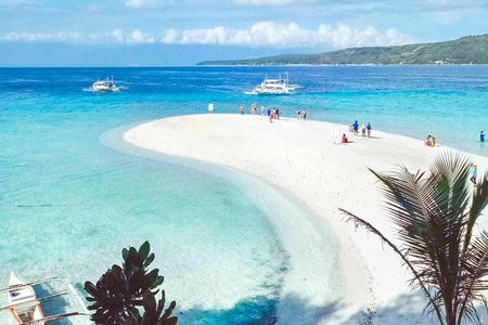 Whale Shark Watching and Sumilon Sandbar Private Tour Package