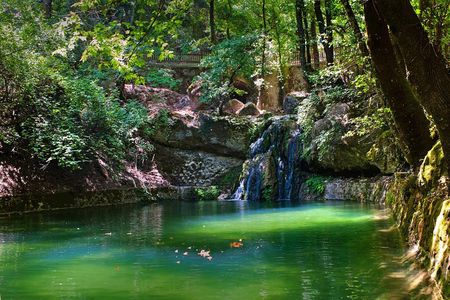 Butterfly Valley & Wine, Olive Oil, Honey Tasting Tour (Small Group)