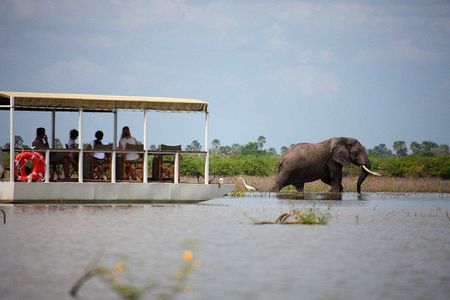 A Day Trip To Selous Fly From Zanzibar