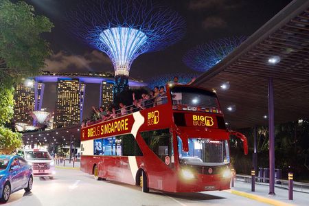 Big Bus Singapore Night Tour with Gardens by the Bay Light Show 