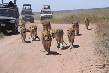 serengeti & ngorongoro 3 days private tour