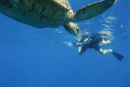 Kauai's Ultimate South Island Zodiac Boat Snorkel Adventure
