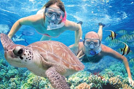 Kauai’s Ultimate Guided Shore Snorkel: South Poipu 