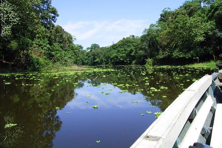 4 days 3 nights – Peruvian Tambopata Jungle