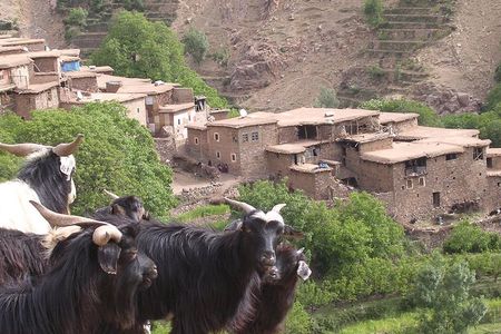 Private Guided Atlas Day Tour from Marrakech with lunch in a Berber family home