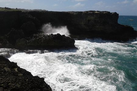 Barbados "Sweet Deal" Scenic Tour