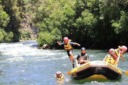 Rangitaiki River White Water Scenic Rafting from Rotorua