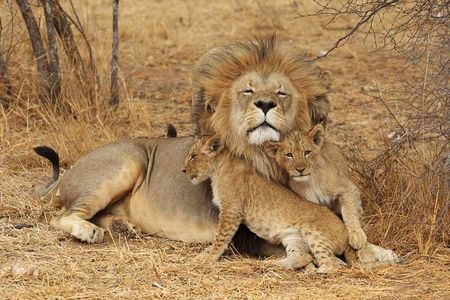 2 Days Tarangire and Ngorongoro Safari from Zanzibar
