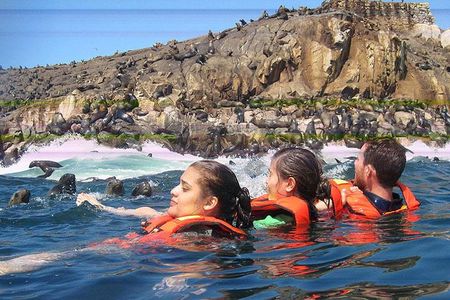 Adventure and adrenaline, swimming with SEA LIONS! & visit the Peruvian islands!