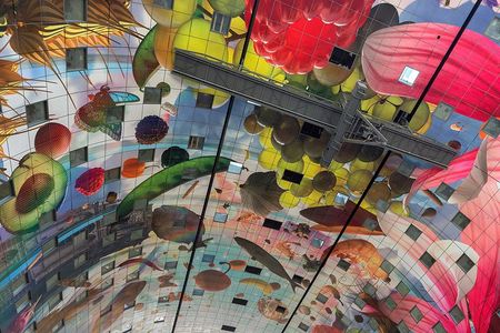 Private Highlights & Art Walking Tour: Markthal, Zadkine, Street Art and Depot