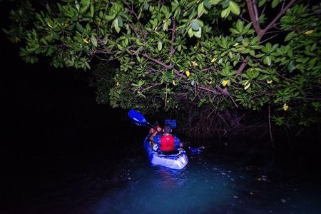 Bioluminescent Bay Kayak Adventure Tour from San Juan